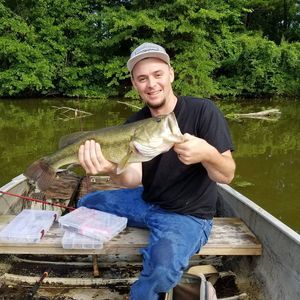 Meet your Posher, Tulsa